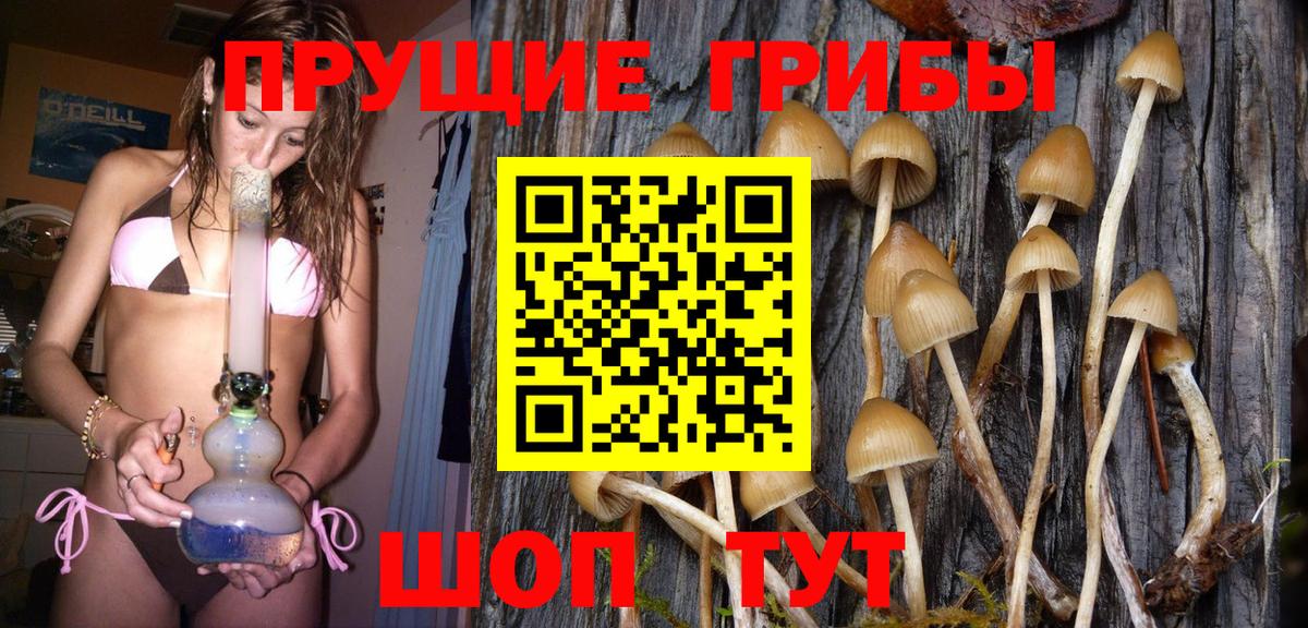 Галлюциногенные грибы Psilocybe  Вход с VPN  Кирово-Чепецк  Галлюциногенные грибы мицелий 