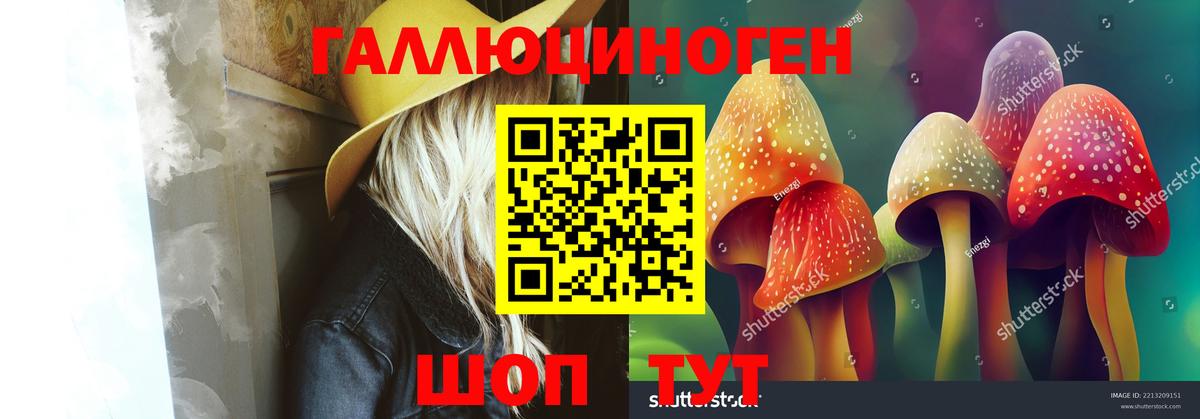 Галлюциногенные грибы Psilocybe Кирово-Чепецк